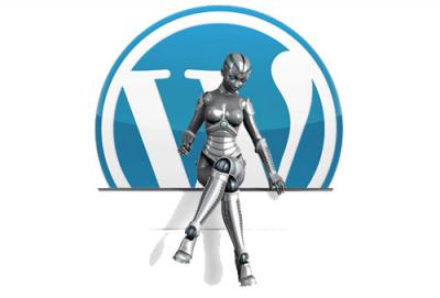 Сборка интернет-магазина Wordpress+Wocommerce, версия 2016
